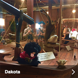 blog dakota